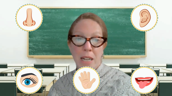 multi sensory teacher resources